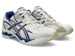 最終値下 ASICS GEL-NIMBUS 10.1× END.のサムネイル