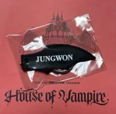 【JUNGWON】House of Vampire ラバーキーリング