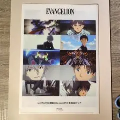 シン・エヴァンゲリオン劇場版　DVDアニメイト特典　クリアファイル1枚