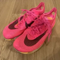 陸上スパイク 27.0