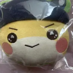 ゆらゆらご〜すとぴ〜ち！　フェイスポーチ　シヴァ　からぴち　パスケース