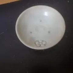 白磁 小皿 豆皿 貫入 花紋