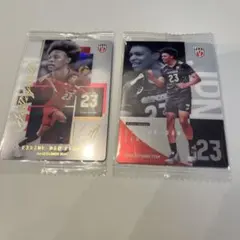 エバデダン ラリー バレーボール日本代表 カード 2枚セット
