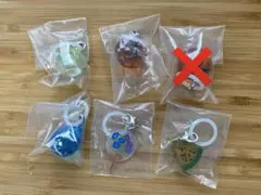 彩り変わった 涼を感じるめじるしアクセサリー 5点