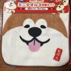 AKITA INU ミニタオル 3枚セット 16×16cm