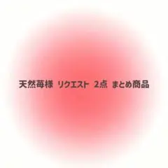 天然苺様 リクエスト 2点 まとめ商品