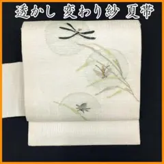◇607mn34◇夏帯 透かし 変わり紗 勝虫 蛍 名古屋帯◇美品のサムネイル