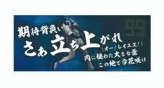 レイエス選手　応援　タオル