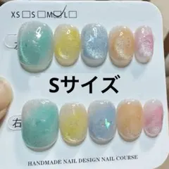 【セツ】カラフル　マグネット　現品ネイルチップ　付け爪(A867)