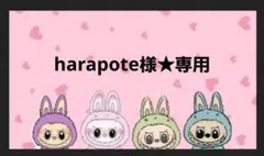 harapote様★専用　(パーラビーズ)