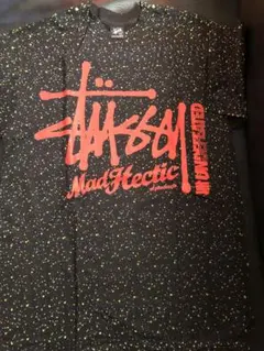 ステューシーTシャツ