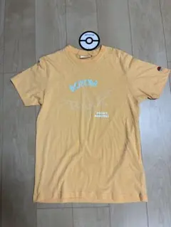 ★スターゲート★様 リクエスト 2点 まとめ商品