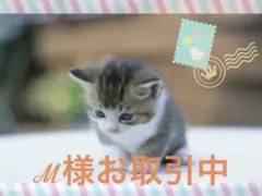 ℳ様 リクエスト 2点 まとめ商品