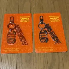2026年最新】VAUNDy グッズの人気アイテム - メルカリ