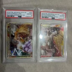 2026年最新】エンテイ＆ライコウ legendの人気アイテム - メルカリ