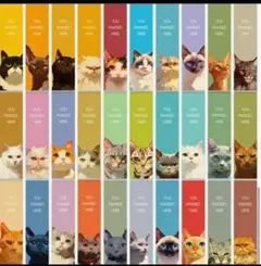 ねこ　猫　ネコ　しおりセット