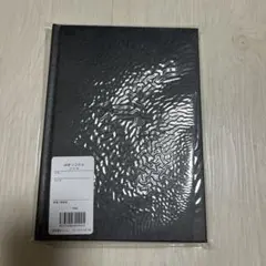 Item thumbnail for item 3151e2ee-b3de-46fb-b27b-8cb767f29366