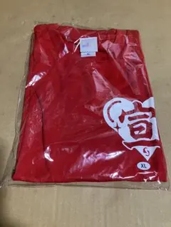超ときめき♡宣伝部 坂井仁香 宣伝部員のための定番Tシャツ ラメver