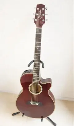2026年最新】takamine npt-110の人気アイテム - メルカリ