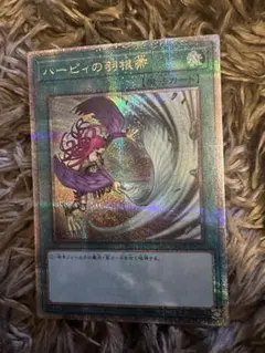 2026年最新】ハーピィの羽根帚 25thの人気アイテム - メルカリ