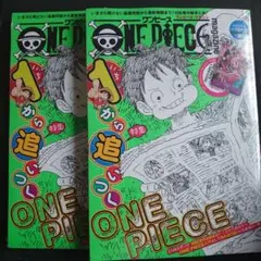 ワンピースマガジン17 ヤマト 花魁 プロモ 2セット