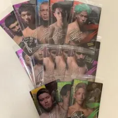 RIZIN ウエハース