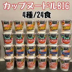 カップヌードルBIG 4種24食 まとめ売りのサムネイル