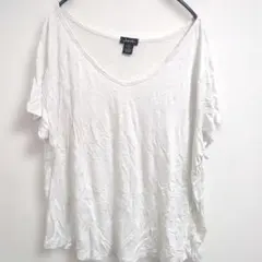 大きいサイズ Vネック 薄手 透け 半袖 Tシャツ 白 無地 1X 4L相当