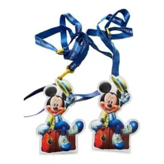 ディズニー バケーションパッケージ チケットホルダー