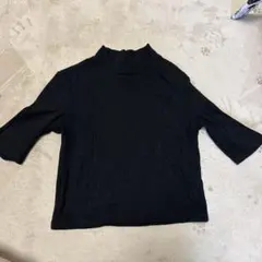 リブ編み ブラック ハイネック 半袖 トップス ZARA