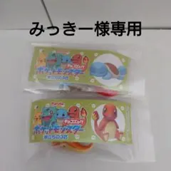 みっきー様専用　ポケモンチョコエッグ　2種セット