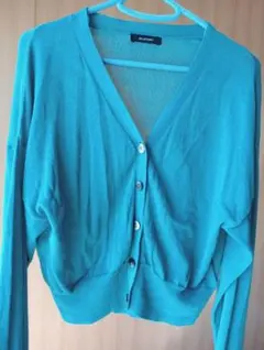 Item thumbnail for item 88d02aed-bfac-41f7-917c-8a919efd5c2f