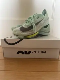 エアズームヴィクトリー26センチ