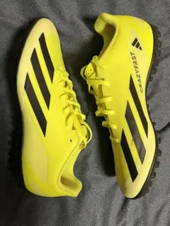 Item thumbnail for item 920b6fc0-89b5-4056-ab95-54c4214a7952