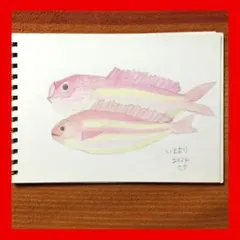 今年89歳になるおばあちゃんの鉛筆画【紫陽花⑨】イラスト 絵画