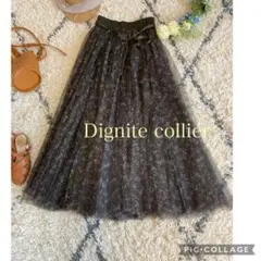 2025年最新】ディニテコリエ チュールスカートの人気アイテム