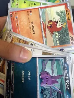 ポケモンカードセット（ホゲータ・ニドラン♀・ロコン）