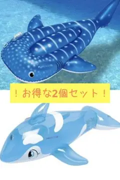 2025年最新】ジャンベの人気アイテム - メルカリ