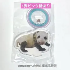 2026年最新】楓浜 キーホルダーの人気アイテム - メルカリ