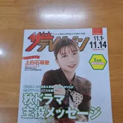 ザテレビジョン 11/1〜11/14 上白石萌歌 横浜流星 吉沢亮 菅田将暉