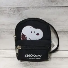 スヌーピー リール付き パスケース