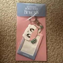 seventeen bethesun ボンボンイ　カードケースのサムネイル