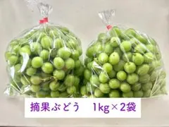 摘果ぶどう、酵素シロップ作りに【生食不可】のサムネイル