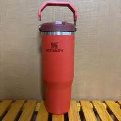 Item thumbnail for item 7f22505b-8115-4b87-abef-cd75dffc9b71