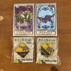 トリケラトプス・アロサウルスカード フクイサウルスピンバッジ