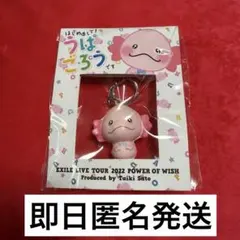 うぱごろう キーホルダー FANTSTICS 佐藤大樹