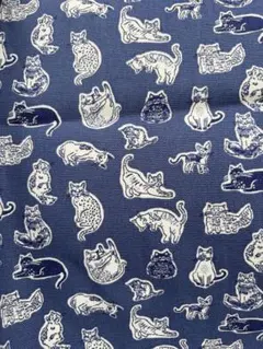 キャスキッドソン　ねこ　コットンダック