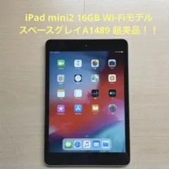 iPad mini2 16GB Wi-Fi スペースグレイA1489 超美品#3