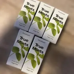 True Mints タブレット フレッシュミント味13g×5個2026.12