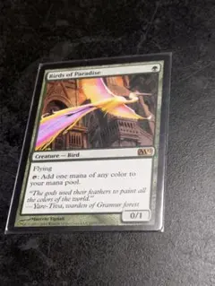 MTG M12 極楽鳥 英語